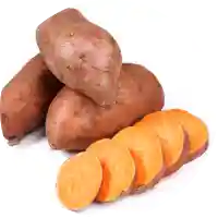 GABA