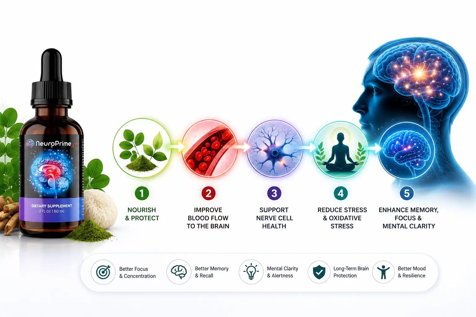 Neuro Prime Reviews and Common Complaints. Does It Work? 17 How Does Neuro Prime Work