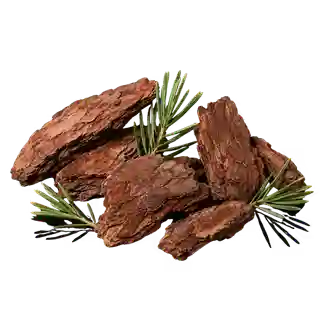 Vigortrix Reviews 2026: Know What Complaints Real Users Have 16 Pine Bark Extract