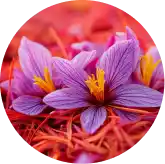 VisiFlora Reviews 2026: Does This Gut-Eye Vision Supplement Really Work? 16 Saffron Extract