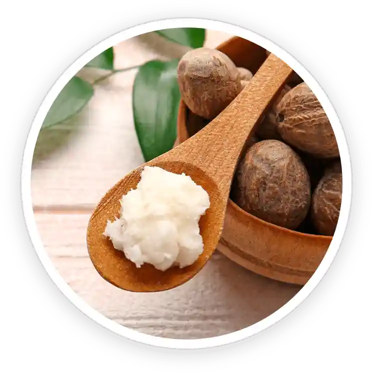 TerraCalm Reviews. Improves Nail Health Or A Marketing Scam? 28 Shea Butter