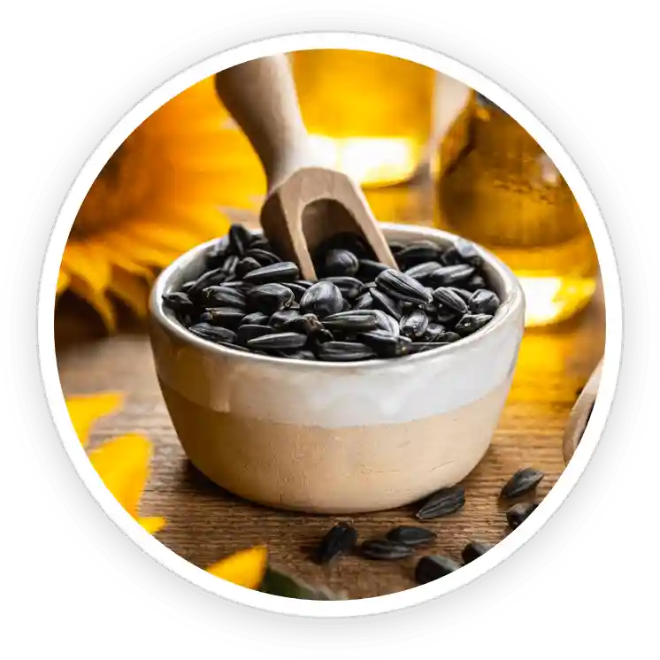 TerraCalm Reviews. Improves Nail Health Or A Marketing Scam? 30 Sunflower Oil