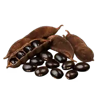 Vigortrix Reviews 2026: Know What Complaints Real Users Have 17 Velvet Bean