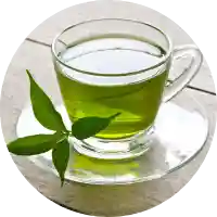 Vitamin B6, Thiamine, Green Tea Extract, Olive Leaf, and Chromium