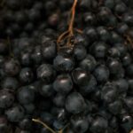 are muscadines good for you nutrition and benefits