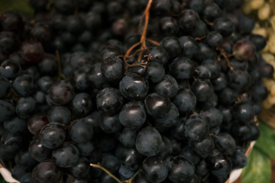 are muscadines good for you nutrition and benefits