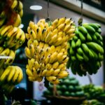 are unripe bananas good for you