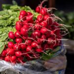 can you eat the leaves on radishes