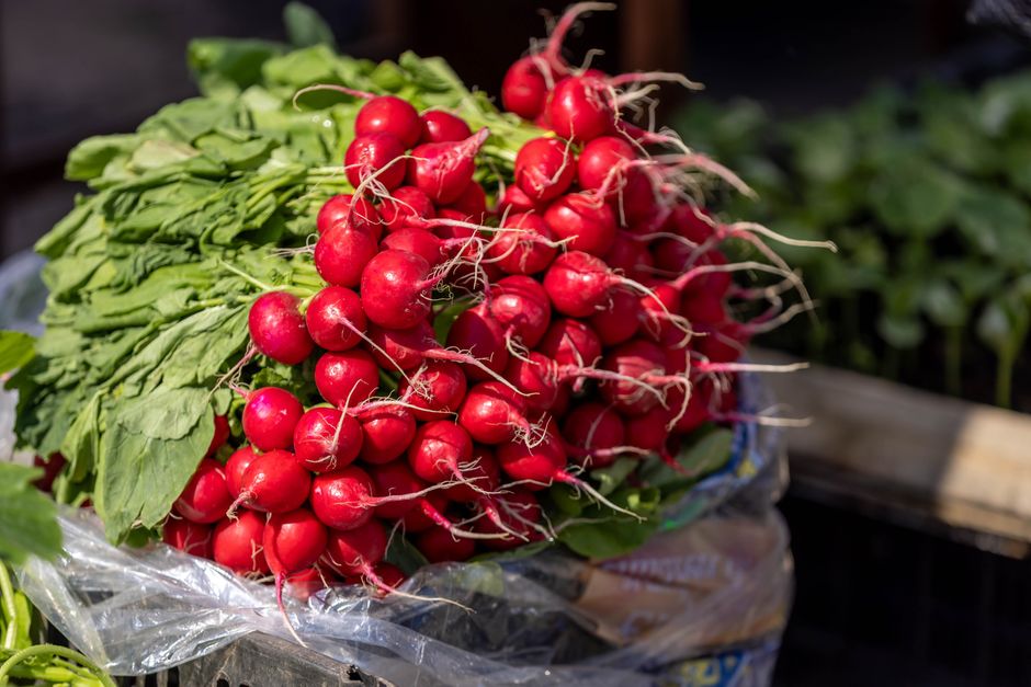can you eat the leaves on radishes