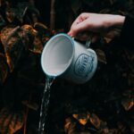 does coffee hydrate you