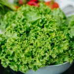 does lettuce cause gas