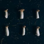 how do mushrooms work in nature and your body