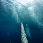 how do submarines use gas laws to dive and surface