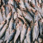 how do you eat a sardine