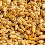 how does insoluble fiber work in your gut