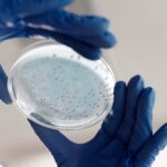 how taqman assays work the gold standard for qpcr