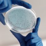 how to calculate bacterial growth