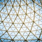 how to find symmetry in math nature and faces