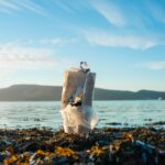how to fix litter box aversion what actually works