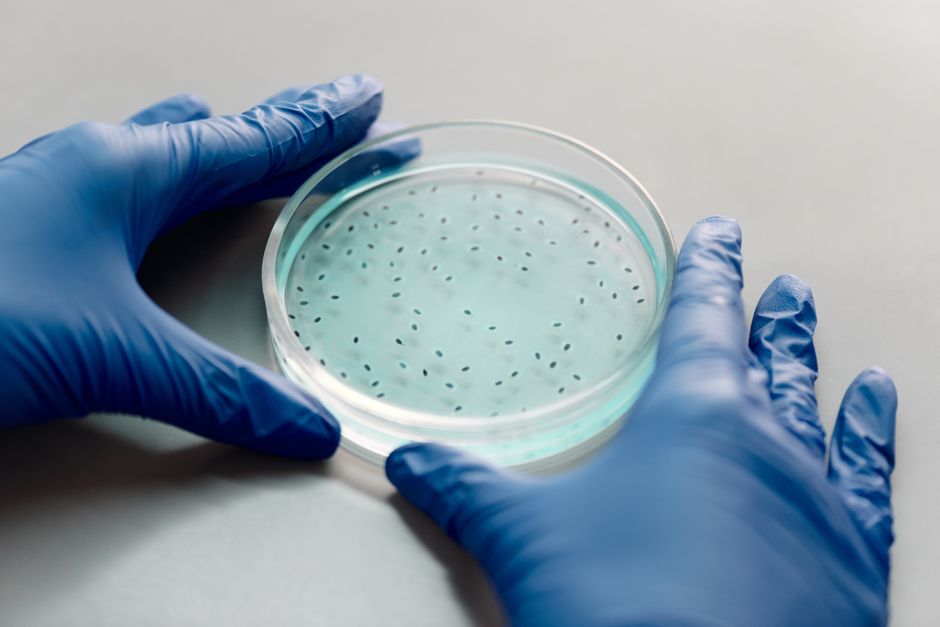how to get rid of fat cells permanently what works