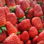 how to get rid of strawberry bugs in your garden