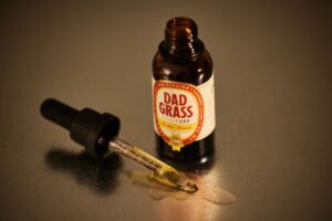 how to process chaga from raw to tea or tincture