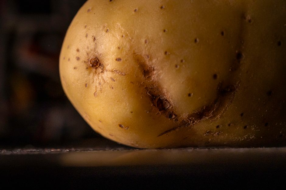 is a potato a nightshade and is it safe to eat