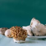 is ashwagandha a mushroom what it actually is