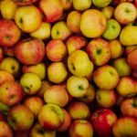 is fructose a monosaccharide