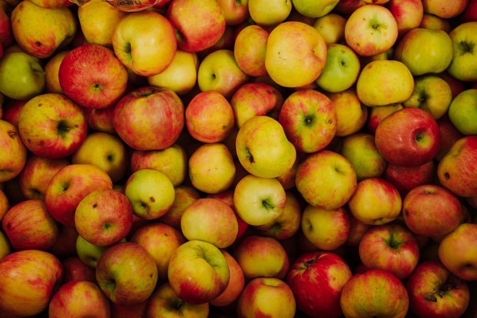 is fructose a monosaccharide