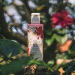is hibiscus tea safe during pregnancy