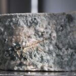is penicillin in mold and can it treat infections