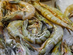 Is Shrimp Good Protein? 6 is shrimp good protein