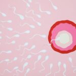 is there still sperm left after ejaculation