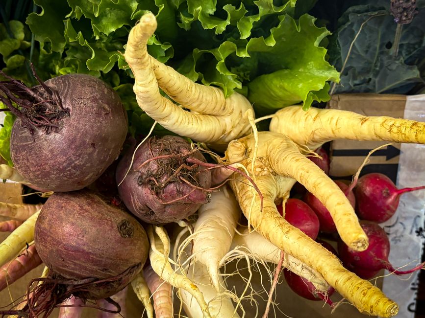 what are root veggies