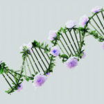 what are the effects of an mthfd1 gene mutation