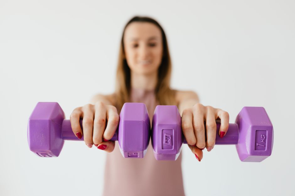 what are the main functions of muscular system