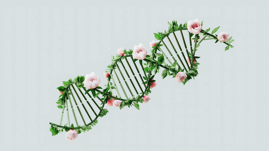 what can genome editing be used for key uses