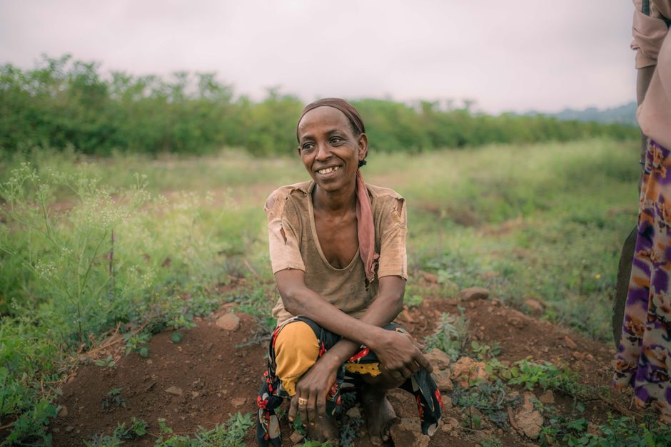 what causes famine in africa drought conflict and more