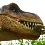 what dinosaur was at the top of the food chain