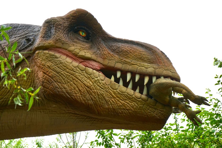 what dinosaur was at the top of the food chain
