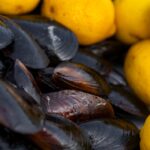 what do mussels eat