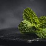 what do you do with mint leaves