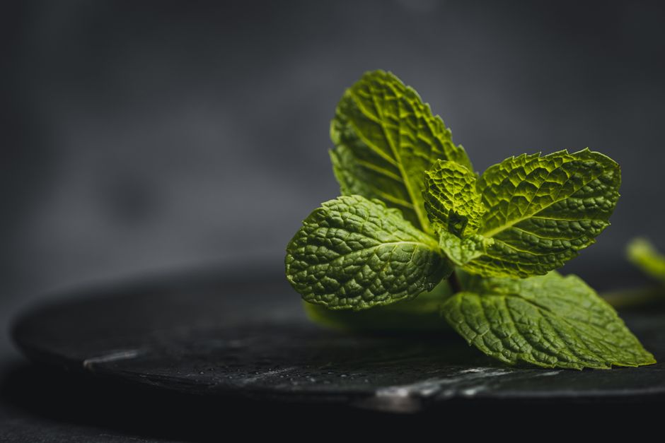 what do you do with mint leaves