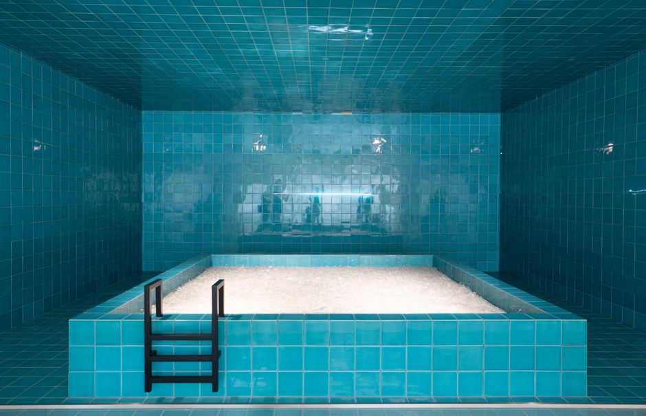 what does cold plunge do
