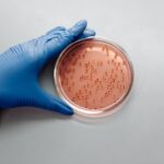 what does salmonella look like