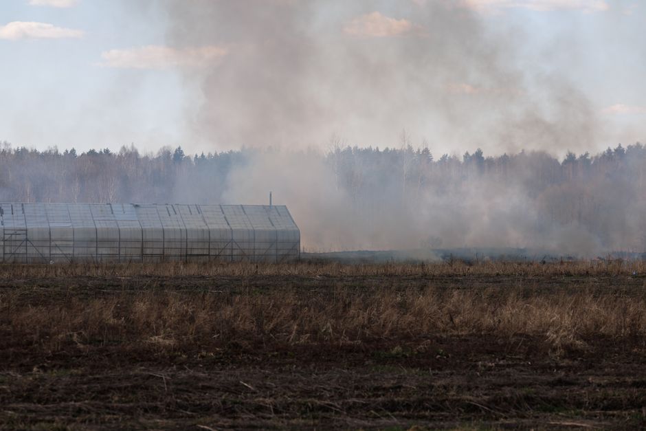 what is agricultural pollution causes and effects