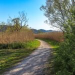 what is an ecological corridor and how do they work