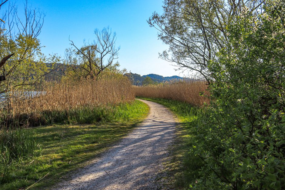 what is an ecological corridor and how do they work