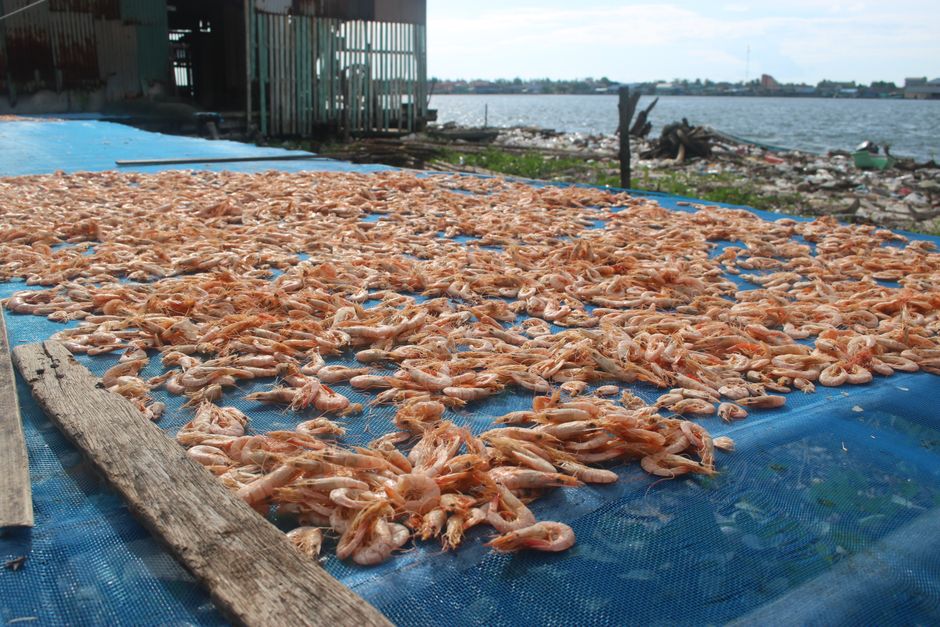 what is dried shrimp and how do you use it